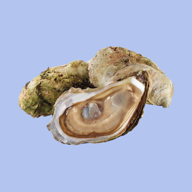 Alt Image